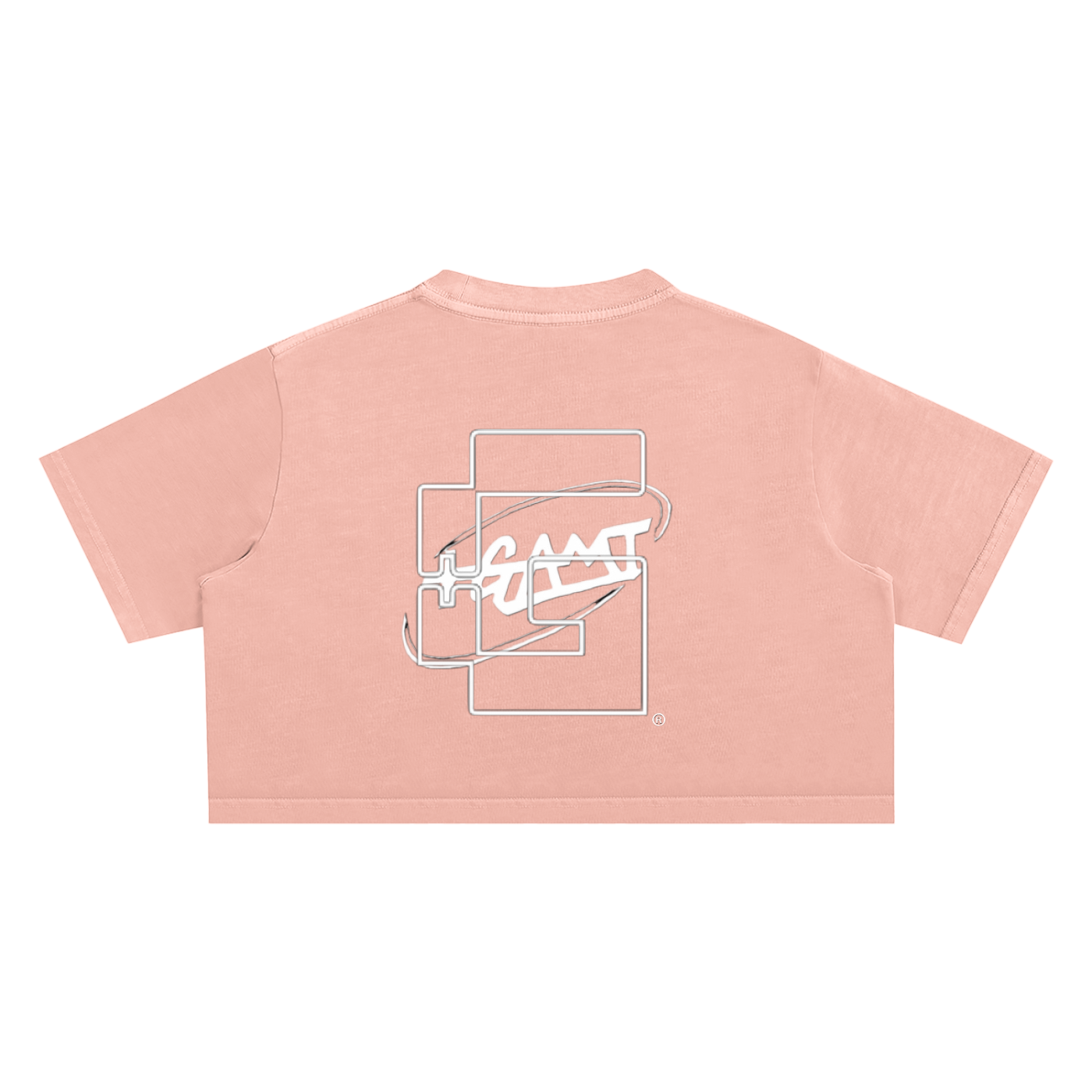 Snow Washed Crop Top