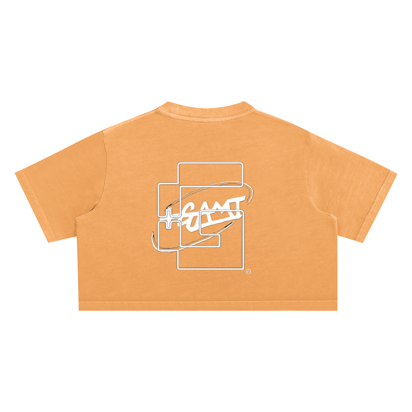 Snow Washed Crop Top