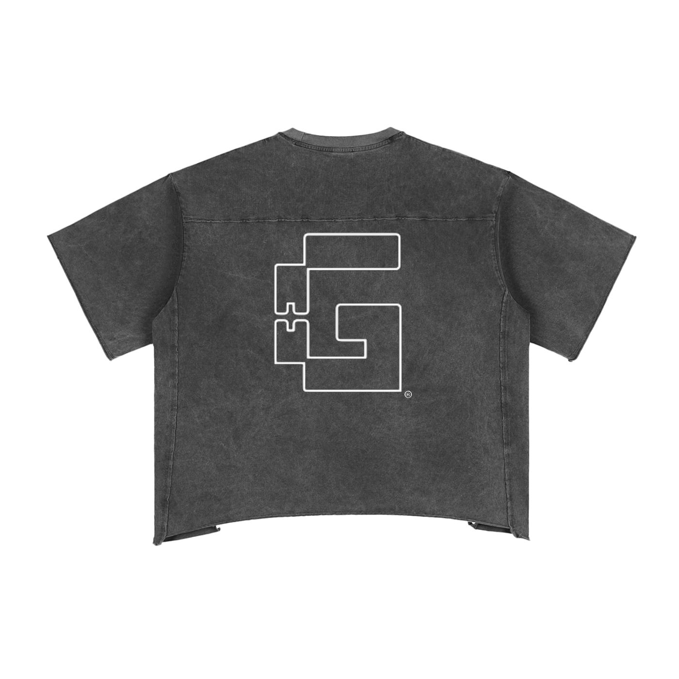 Raw Edge Snow Washed Boxy T-Shirt