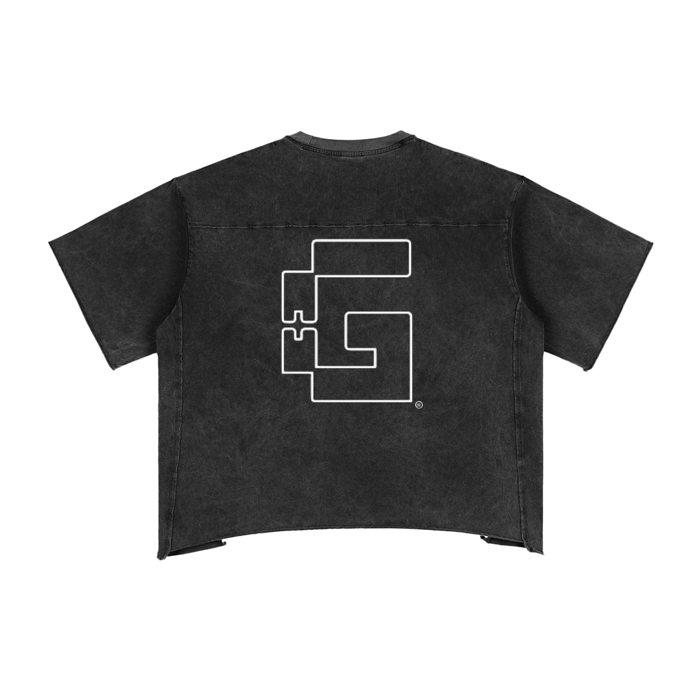 Raw Edge Snow Washed Boxy T-Shirt